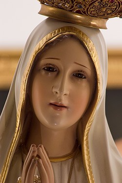 ROL VIRGEN DEL SECTOR